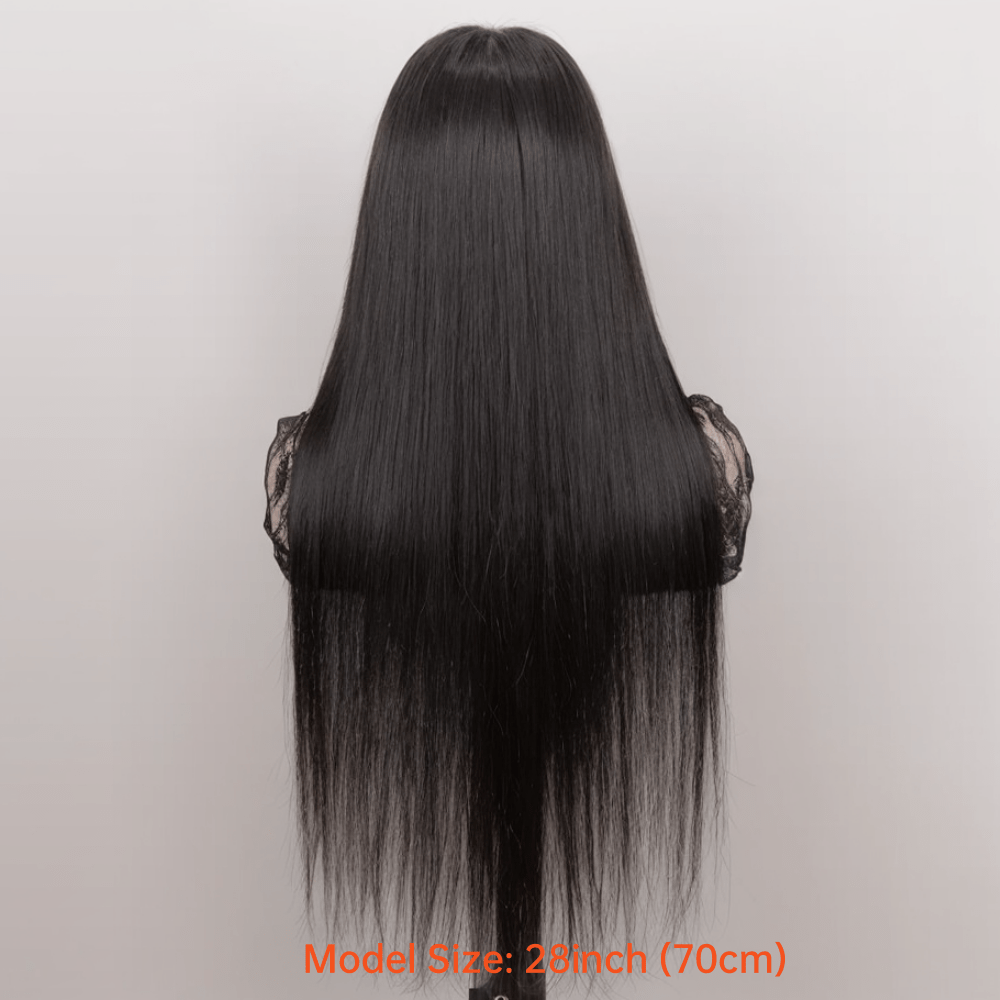 4x4 Lace Closure Wig Human Hair Straight Glueless Pre-Plucked Natural Hairline Black Straight Wig 12-28 Inch Women No Glue Easy Wear Versatile Parting