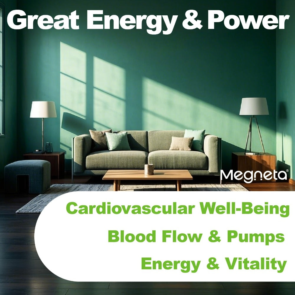 Megneta Nitric Oxide, Men's Vitality Supplement for Energy and Focus, Healthy Blood Flow, Cardiovascular Health, with L Arginine & L Citrulline - 60 capsules