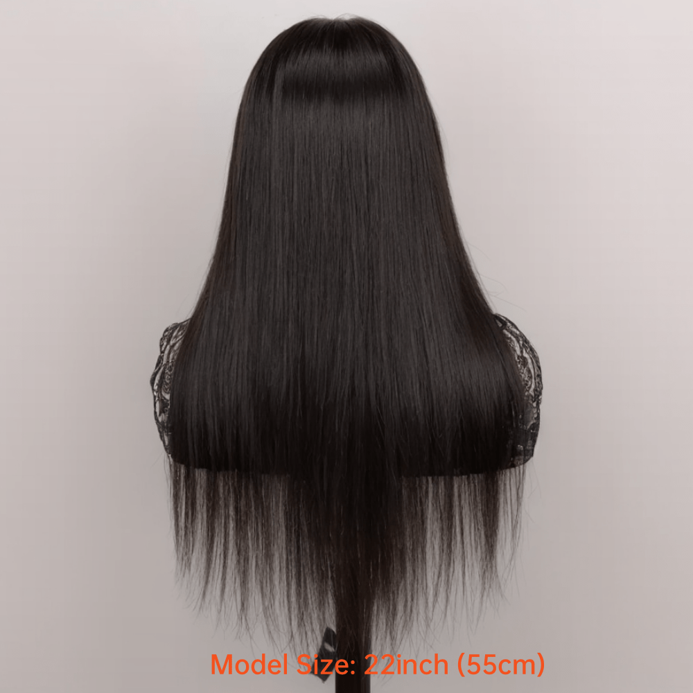 4x4 Lace Closure Wig Human Hair Straight Glueless Pre-Plucked Natural Hairline Black Straight Wig 12-28 Inch Women No Glue Easy Wear Versatile Parting