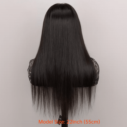 4x4 Lace Closure Wig Human Hair Straight Glueless Pre-Plucked Natural Hairline Black Straight Wig 12-28 Inch Women No Glue Easy Wear Versatile Parting