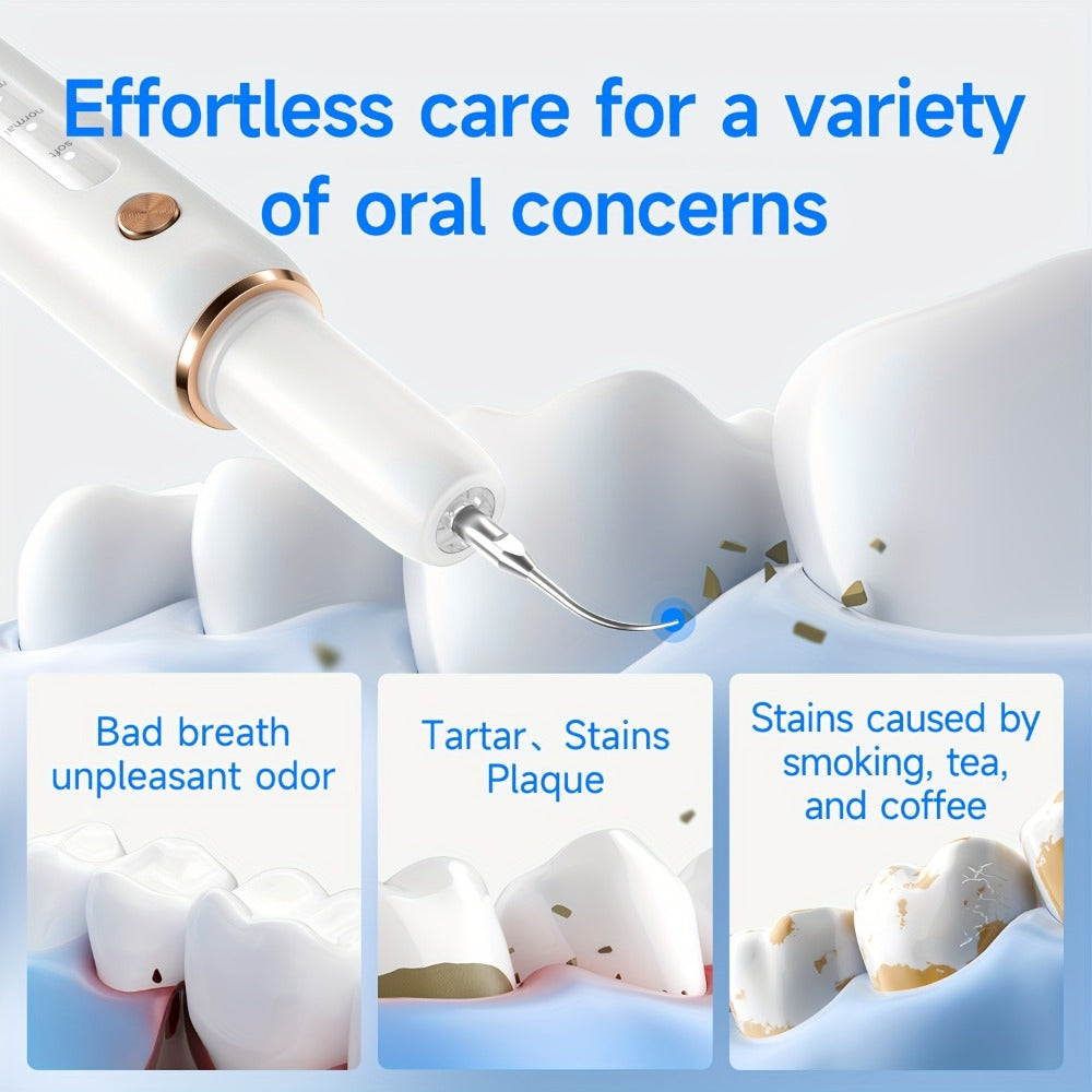 Electric Tooth Cleaner 5-Speed Ultrasonic Tartar Remover USB Rechargeable IPX6 Waterproof Dental Scaler with LED Light Mirror 2 Tips Plaque Stain Removal Tool for Home Oral Care