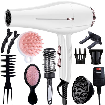 Professional Hair Dryer Set with Accessories - Brushless Motor Blow Dryer Kit with Concentrator Nozzle Comb Clip 2 Modes 3 Speeds for Home Travel Salon Black White Blue Green