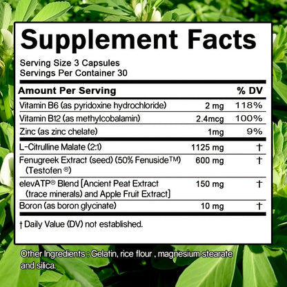 Testosterone Booster for Men — Total-T Daily Vitality & Hormone Support Capsules | Energy, Strength & Overall Health Formula | 90 Capsules
