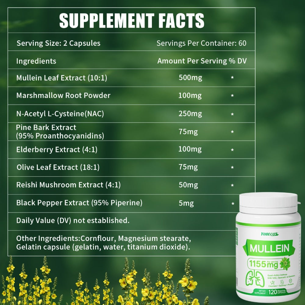 [LUNC CLEASNSE CAPSULES] Mullein & NAC for Breathing Comfort Support Airway, Respiratory System, Immune Health, Seasonal Or Year-Round Dietary Supplement, Vitamins And Supplements, Local Warehouse| Family Gifts & Halloween
