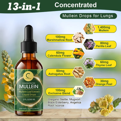 Mullein Leaf Tincture for Lung & Respiratory Support — Herbal Drops for Immune, Digestive & Breathing Health | Natural Liquid Supplement | 2 fl oz