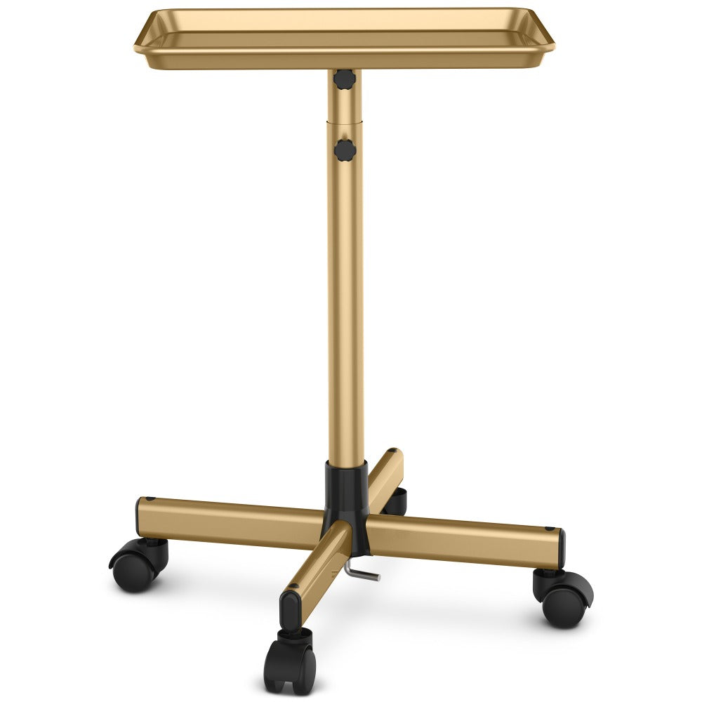 Premium Salon Tray Cart Tattoo Tray 17.9'' x 12.8'', Gold & Pink and Black Stylist Tray, Adjustable Height, Salon Tray On Wheels For Spa Storage, Stylist Blowdry And Clinic Use