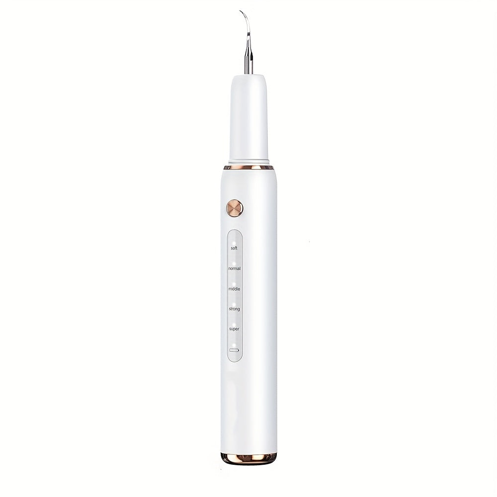 Electric Tooth Cleaner 5-Speed Ultrasonic Tartar Remover USB Rechargeable IPX6 Waterproof Dental Scaler with LED Light Mirror 2 Tips Plaque Stain Removal Tool for Home Oral Care