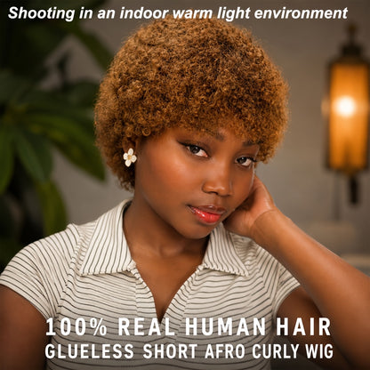 Human Hair Afro Wig Short Kinky Curly Glueless Wig for Black Women Natural Afro Puff Wig 6 Inch Kinky Coily Wig Deep Grey Camel Ginger 70s 80s Cosplay Party Daily Wear