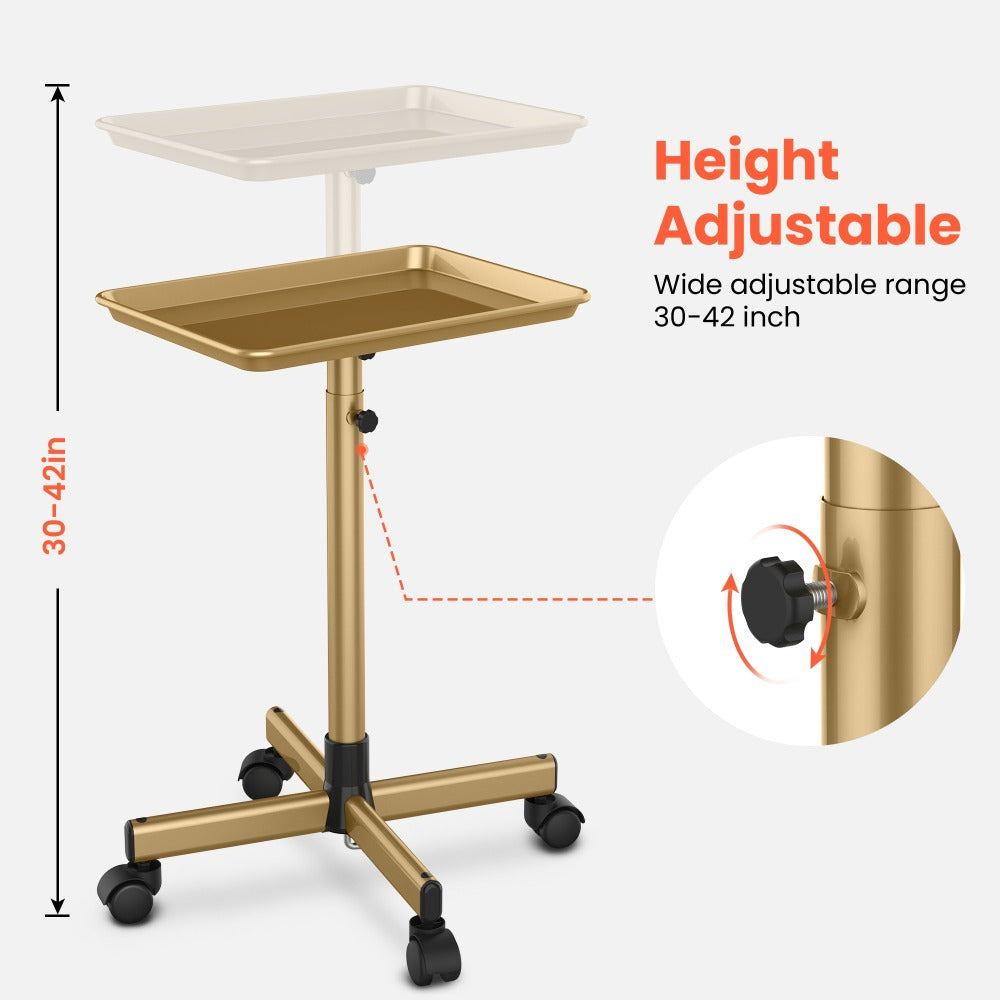 30'' - 42'' Height Adjustable Premium Salon Tray on Wheels, Salon Rolling Tray Trolley