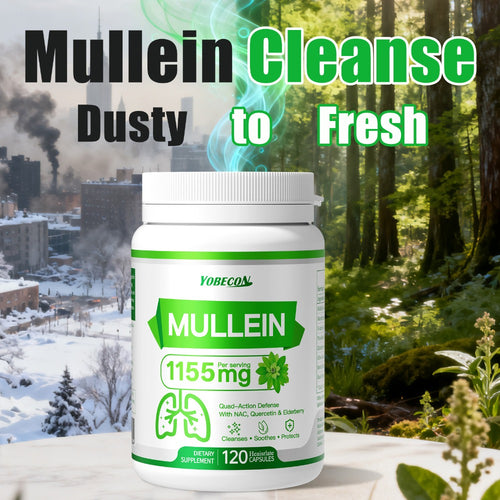Mullein Lung Cleanse Capsules with NAC 45000mg – Mucus Removal, Dry Cough Relief & Respiratory Support Supplement for Women & Men, Seasonal & Year-Round Immune Health