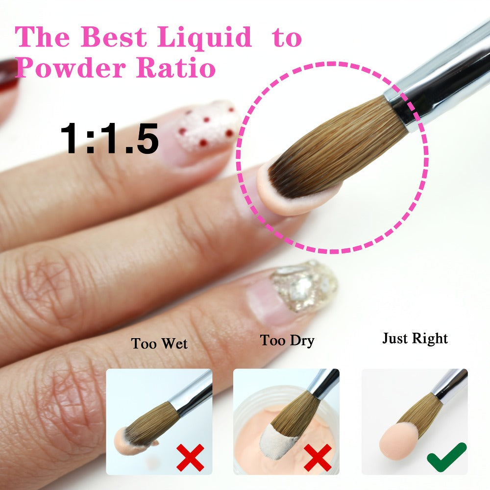 Aridito Professional Acrylic Nail Brush with 100% Kolinsky Hair - Flat Shape, Rose Red Handle & Cap for Manicure and Pedicure (Sizes 8, 10, 12, 14), Nail Art Accessories | Sleek Finish | Kolinsky Hair Bristles