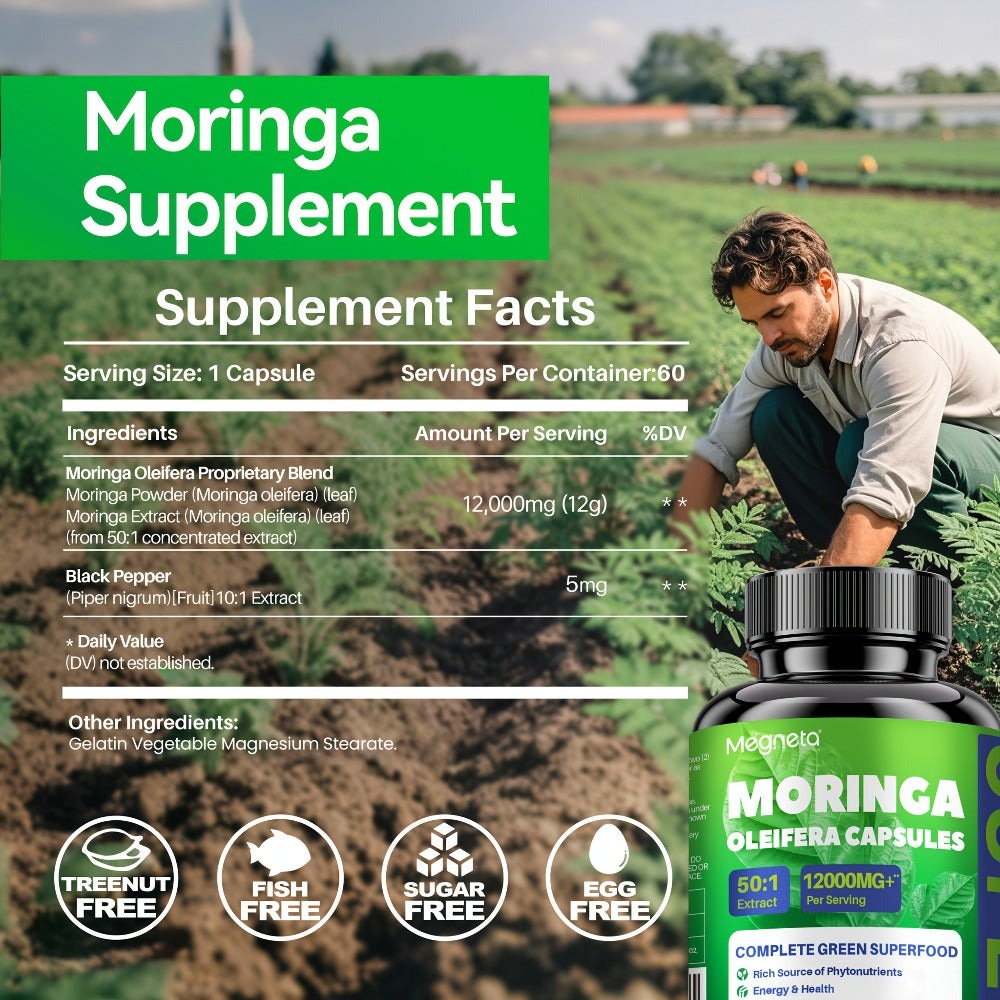 MEGNETA Moringa Powder Capsules - 12000mg Of Rich Moringa Powder - Moringa Supplement for Women&Men Healthy Living - A Natural Green Antioxidant Supplements - Skin Health, Immune System & Energy