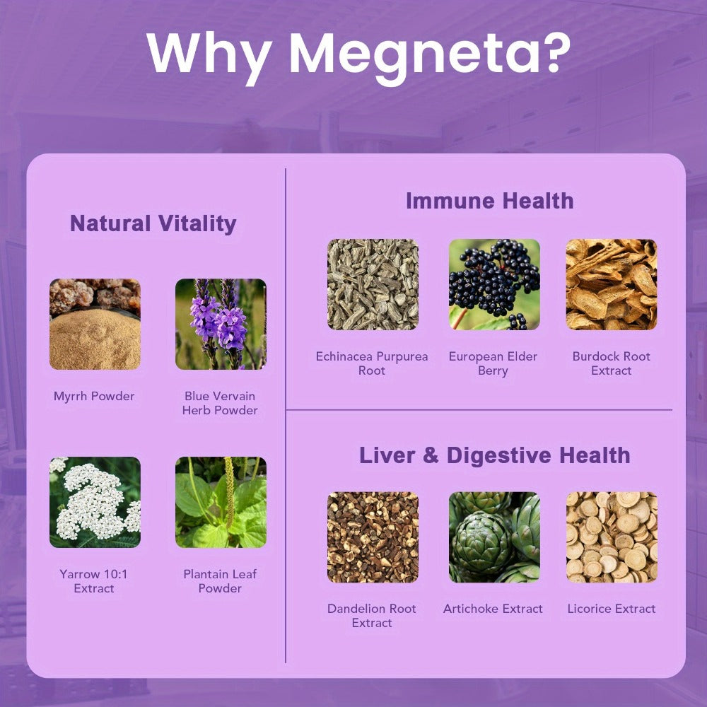 MEGNETA Lymphatic Health Supplement Capsules - Fluid Circulation & Balance, Antioxidant, Liver & Lymph System Health - Herbal Products Echinacea, Dandelion, Elderberry, Plantain Leaf, Blue Vervain, Artichoke, Burdock Supplement - 30 Servings