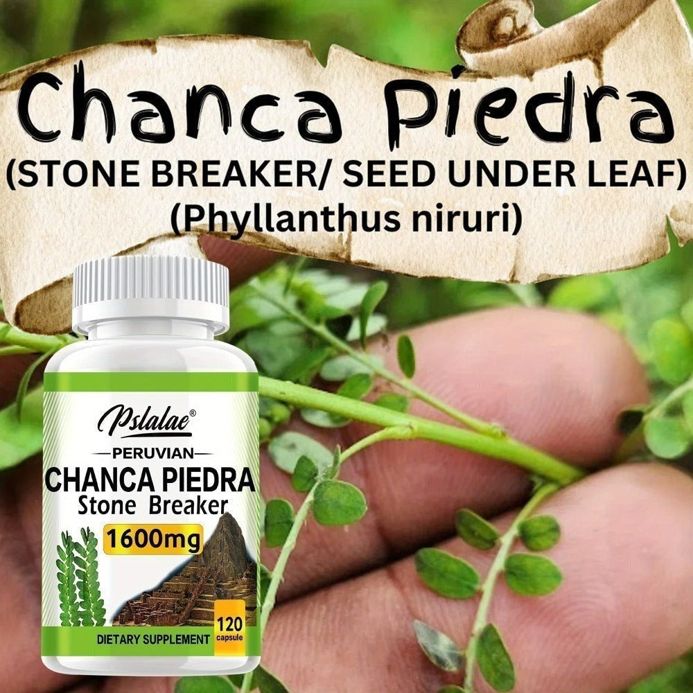 Chanca Piedra Capsules - Supports Liver and Kidney Health, Supports Urinary Tract Health - 120pcs