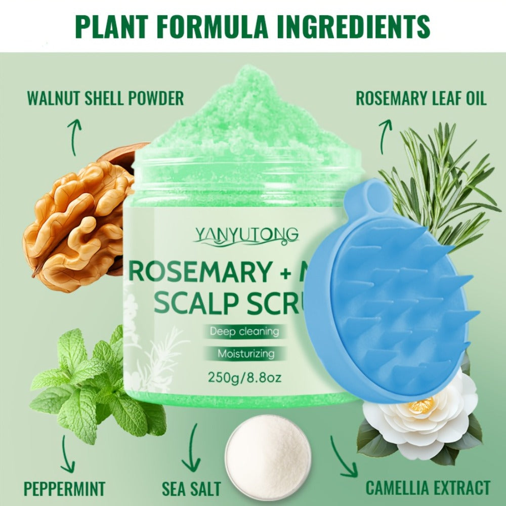 Scalp Scrub with Massage Brush — Rosemary & Mint Deep Cleansing Hair Scrub, 250g, Removes Buildup & Purifies Scalp for All Hair Types Including Oily, Dry & Color-Treated