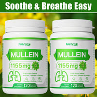 Two bottle-More favorable