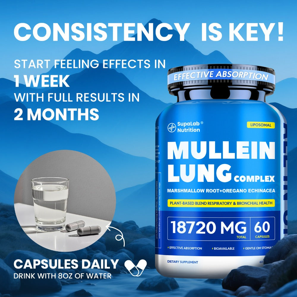 Lung Health And Respiratory Wellness, 12000Mg Mullein Leaf with Quercetin for Bronchial, Breath, Immune Health, Breathing Ease And Seasonal Comfort, 60 Capsules