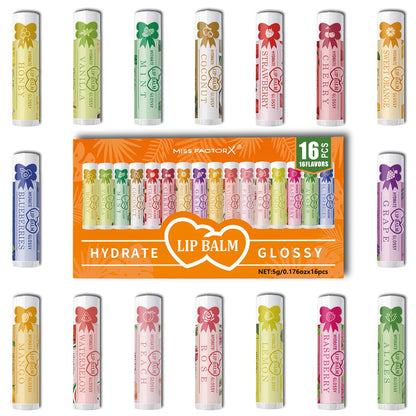Lip Balm Set 16 Pack – Assorted Flavored Moisturizing Lip Balms for Long-Lasting Hydration & Shine | Bulk Lip Care Kit for Dry Lips, All Skin Types | Perfect Gift Set for Women, Girls & Teens