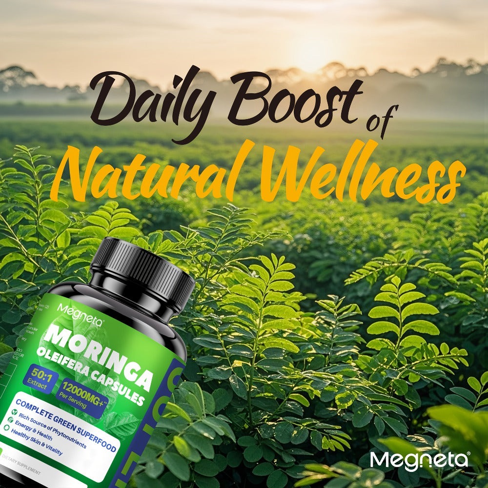 MEGNETA Moringa Powder Capsules - 12000mg Of Rich Moringa Powder - Moringa Supplement for Women&Men Healthy Living - A Natural Green Antioxidant Supplements - Skin Health, Immune System & Energy