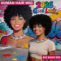 [Cosplay Festivals Parties] Afro Curly Human Hair Wigs, Short Kinky Curly Glueless Wigs Real Human Hair, High-Curl Afro Design, Easy to Wear And Easy to Manage, Perfect for Daily Use, Cosplay, Festivals, 70s 80s Cosplay Fan Hair And Enhancing The Atmosphe