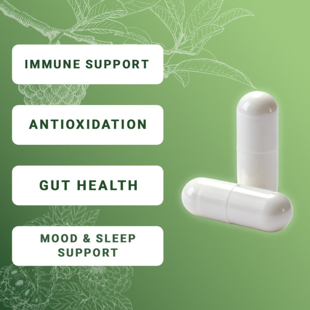 [24in1 Soursop Moss Capsules] Brakme 24in1 Soursop Shila Sea Moss Lions Mane Capsules - 1pc &2pcs, Men & Women Friendly, Supports Intestinal Health &Antioxidant