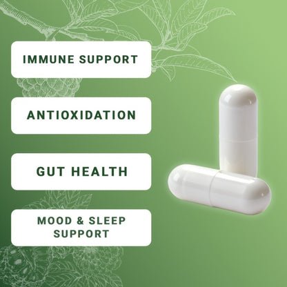 Sea Moss Capsules 24-in-1 with Soursop, Lion's Mane, Shilajit & More — Gut Health, Antioxidant & Immune Support Formula for Men & Women