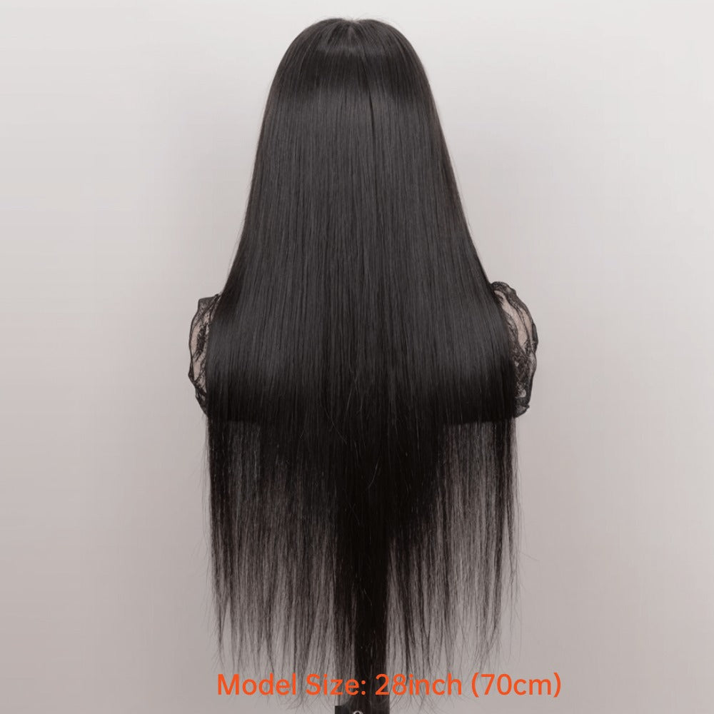 4x4 Lace Closure Wig Human Hair Straight Glueless Pre-Plucked Natural Hairline Black Straight Wig 12-28 Inch Women No Glue Easy Wear Versatile Parting