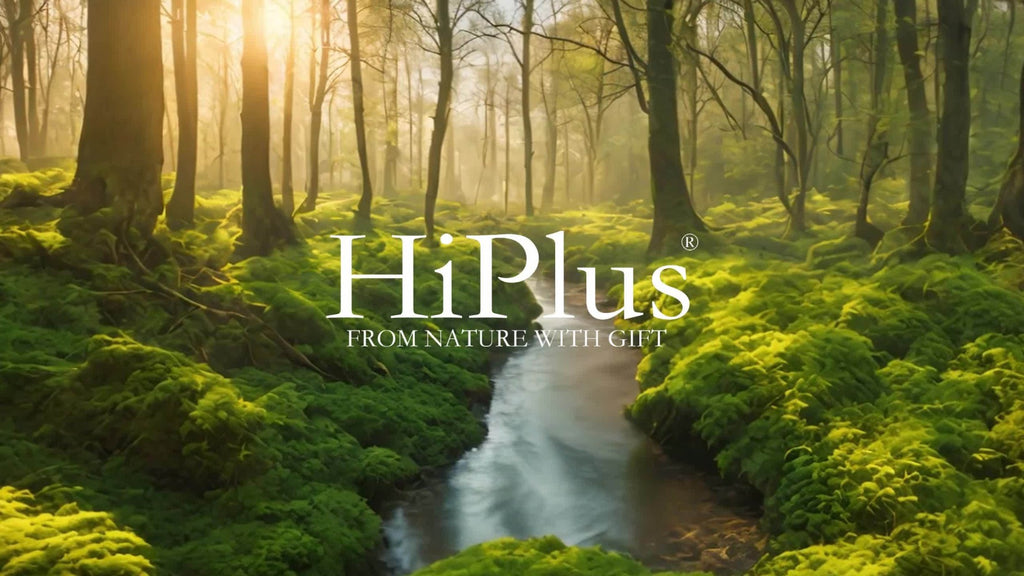 Hi Plus Oregano Oil Softgels, 300 Capsules | 2-in-1 Formula with Black Seed Oil 200mg, 4x Strength Carvacrylone & Thimeriquinone | Plant-Based, Immunological Support