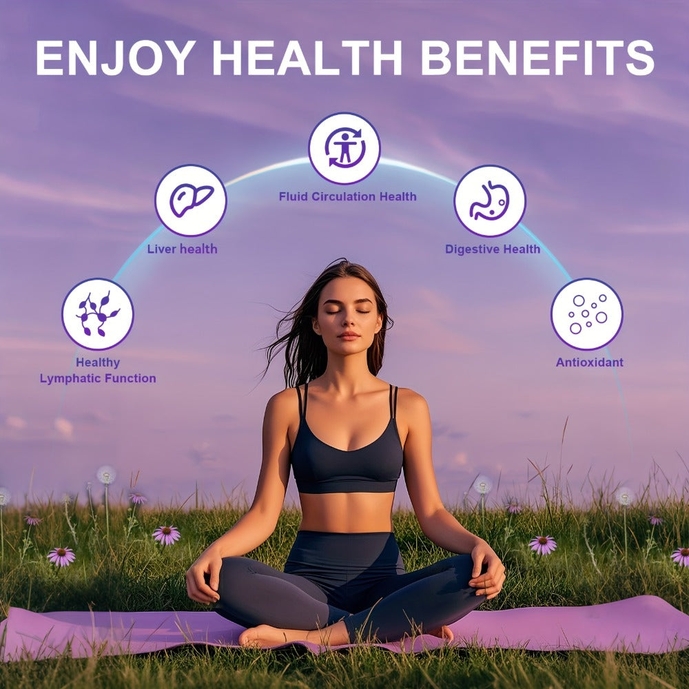 MEGNETA Lymphatic Health Supplement Capsules - Fluid Circulation & Balance, Antioxidant, Liver & Lymph System Health - Herbal Products Echinacea, Dandelion, Elderberry, Plantain Leaf, Blue Vervain, Artichoke, Burdock Supplement - 30 Servings