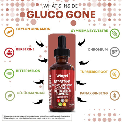 Ceylon Cinnamon & Berberine Blood Sugar Support Liquid Drops — with Bitter Melon, Glucomannan, Gymnema, Chromium, Turmeric & Panax Ginseng | Vegan | 2.03 fl oz