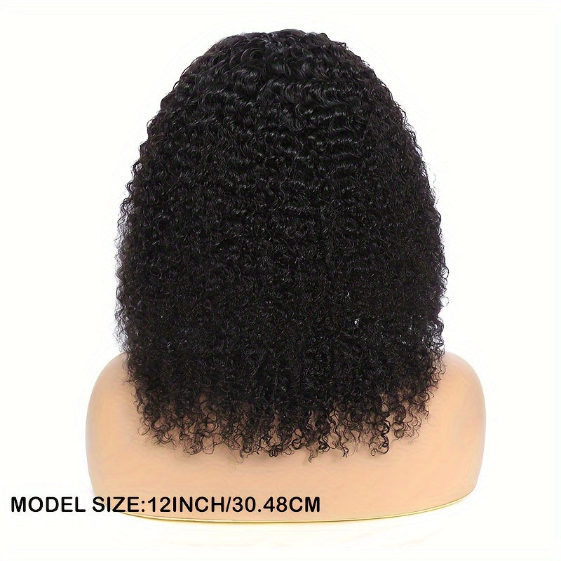 Kinky Curly Lace Front Wig Human Hair Brazilian Remy 4x4x1 Lace Closure 180% Density Natural Color Pre Plucked for Black Women 12-22 Inch
