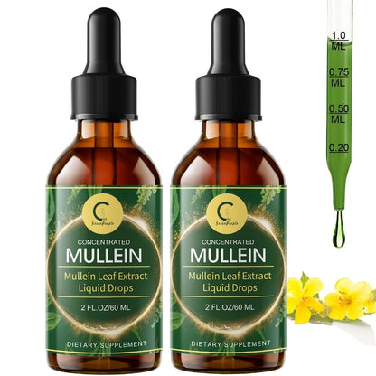 Mullein Leaf Tincture for Lung & Respiratory Support — Herbal Drops for Immune, Digestive & Breathing Health | Natural Liquid Supplement | 2 fl oz