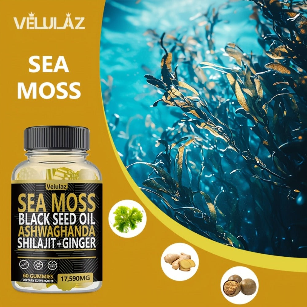Sea Moss Gummies 10-in-1 Superfood Blend 60 Count - Black Seed Oil Ashwagandha Shilajit Elderberry Turmeric Bladderwrack Ginger Chlorophyll 17590mg - Daily Wellness Supplement