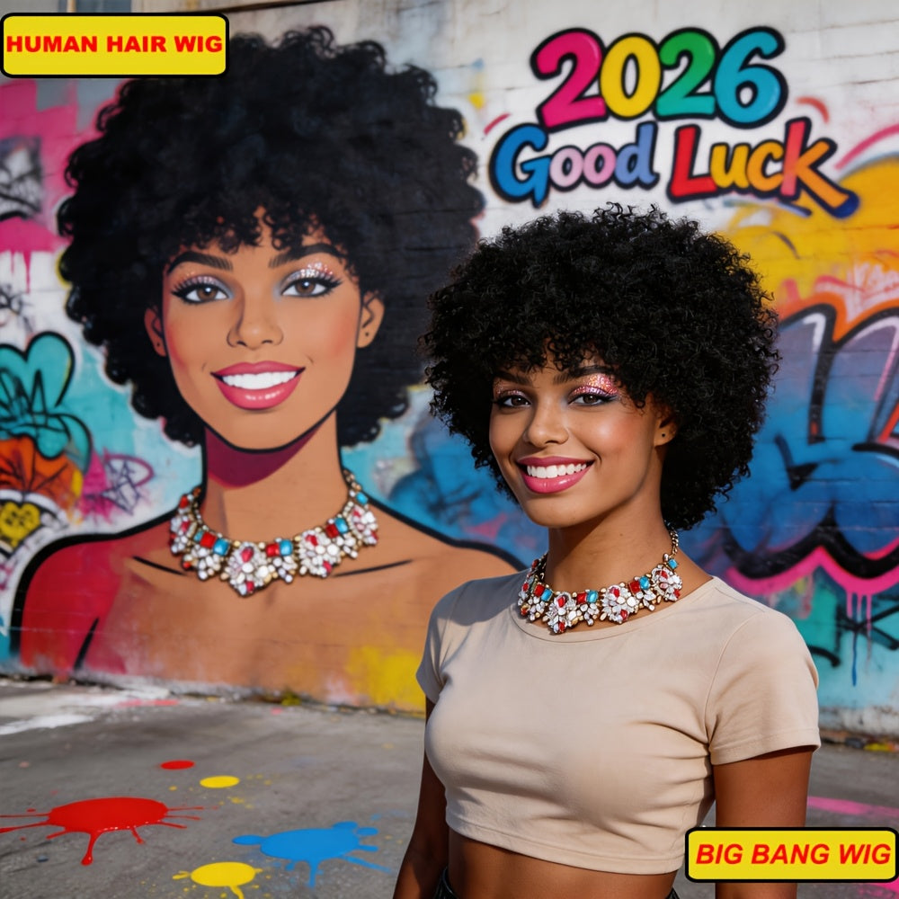 [Cosplay Festivals Parties] Afro Curly Human Hair Wigs, Short Kinky Curly Glueless Wigs Real Human Hair, High-Curl Afro Design, Easy to Wear And Easy to Manage, Perfect for Daily Use, Cosplay, Festivals, 70s 80s Cosplay Fan Hair And Enhancing The Atmosphe