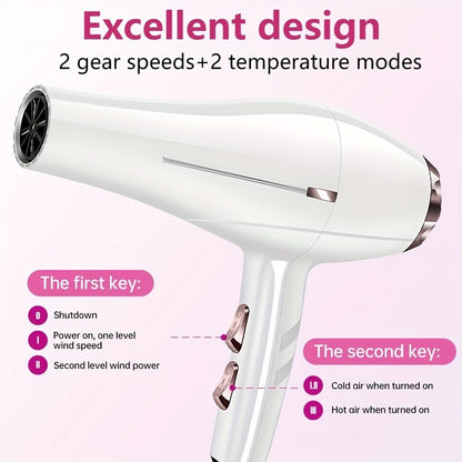 Professional Hair Dryer Set with Accessories - Brushless Motor Blow Dryer Kit with Concentrator Nozzle Comb Clip 2 Modes 3 Speeds for Home Travel Salon Black White Blue Green