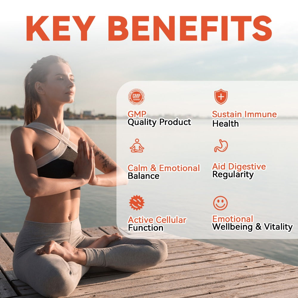 1/3pcs Soursop Bitters Liquid - Herbal Supplement, Gut Health Support - Contains Moringa, Oregano, And Ashwagandha, Suitable for Those with Sensitive Stomachs. Multi-Plant, Sugar-Free, Vegan Formula for Enhanced Vitality