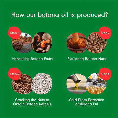 Batana Oil Cold Pressed Pure Hair & Scalp Treatment Moisturizing Conditioner with Jojoba Oil for Dry Damaged Hair Men & Women 3.38oz Available in 1 2 3 Pack