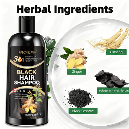 Black Hair Dye Shampoo with Polygonum Multiflorum & Ginger Extract — Instant Gray Coverage, Gentle Non-Damaging Plant-Based Formula, Long-Lasting Color, Unisex, 3.38 oz / 100ml